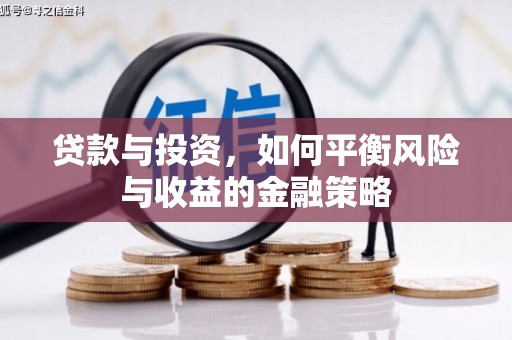 东阿贷款与投资，如何平衡风险与收益的金融策略