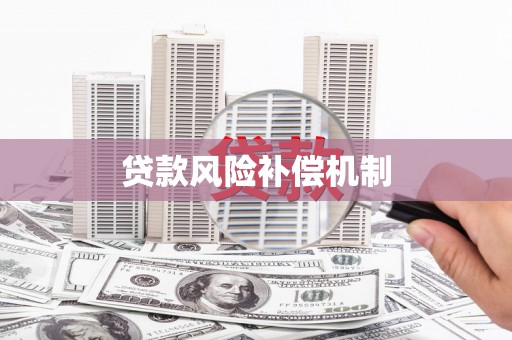 东阿贷款风险补偿机制