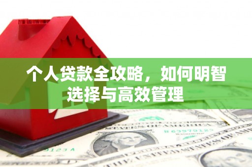 东阿个人贷款全攻略，如何明智选择与高效管理