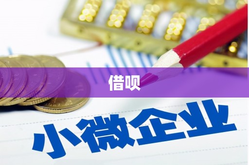东阿借呗
