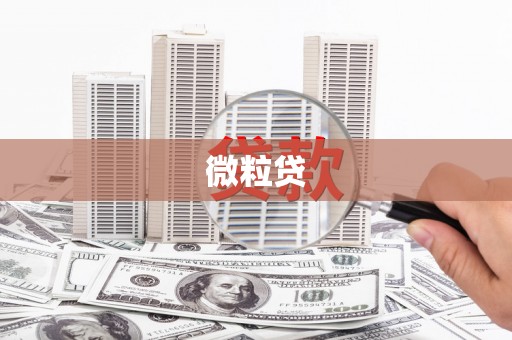 东阿微粒贷