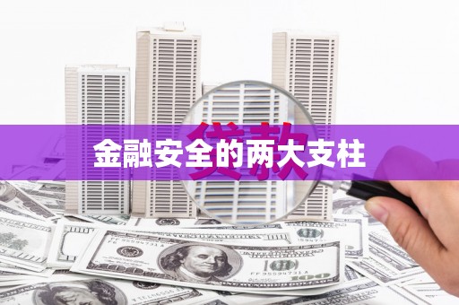 东阿金融安全的两大支柱
