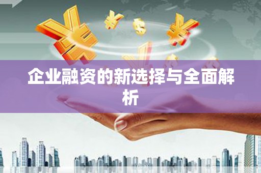 东阿企业融资的新选择与全面解析