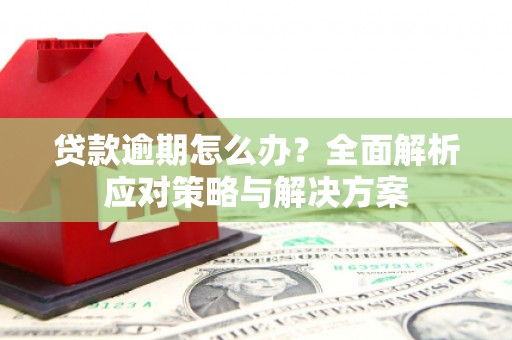 东阿贷款逾期怎么办？全面解析应对策略与解决方案
