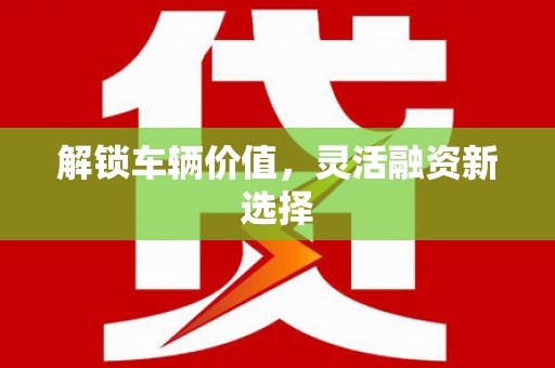 东阿解锁车辆价值，灵活融资新选择