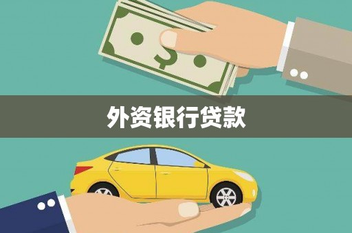 东阿外资银行贷款