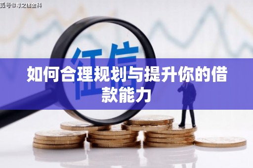 东阿如何合理规划与提升你的借款能力