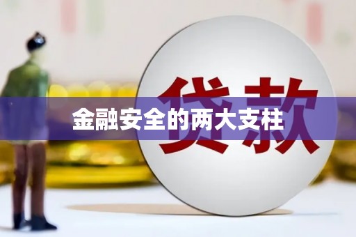 东阿金融安全的两大支柱