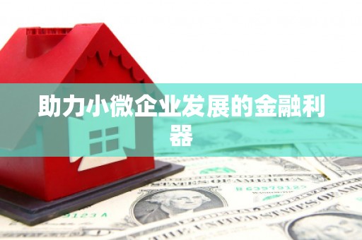 东阿助力小微企业发展的金融利器