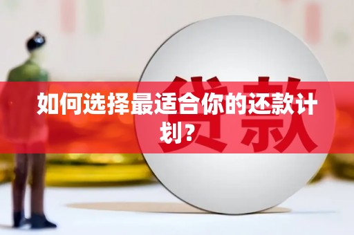 东阿如何选择最适合你的还款计划？