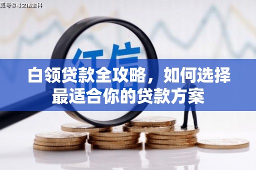 东阿白领贷款全攻略，如何选择最适合你的贷款方案