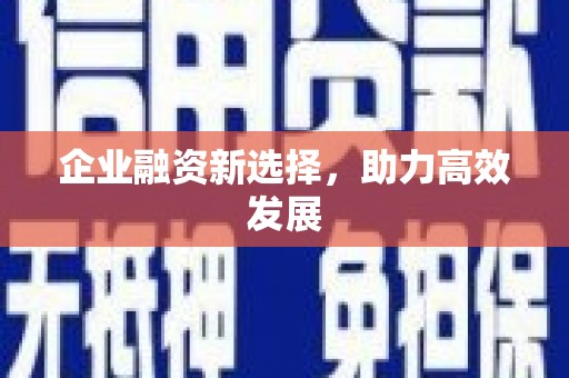 东阿企业融资新选择，助力高效发展