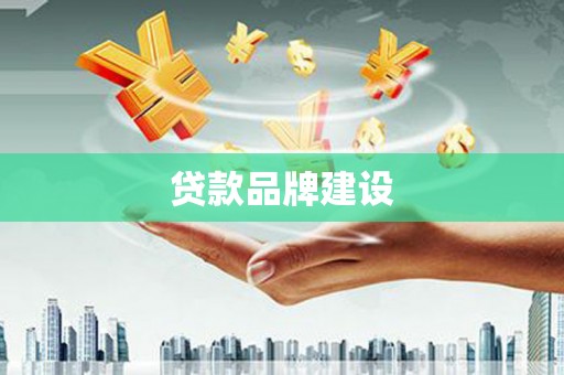 东阿贷款品牌建设