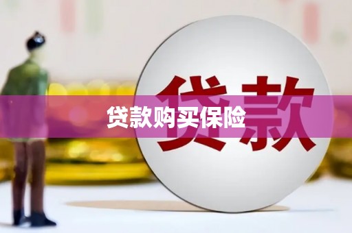 东阿贷款购买保险