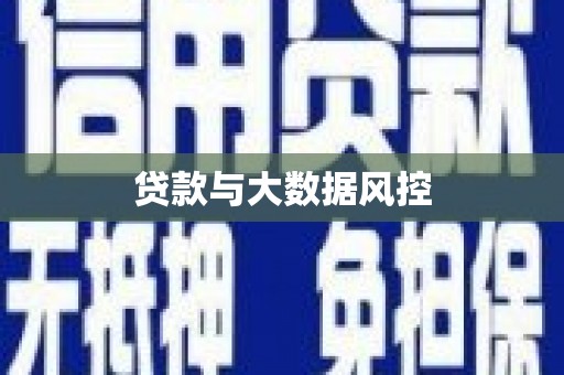 东阿贷款与大数据风控