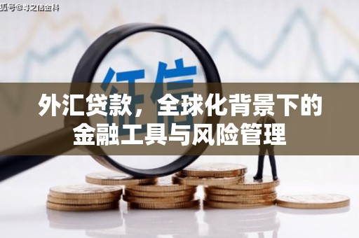 东阿外汇贷款，全球化背景下的金融工具与风险管理