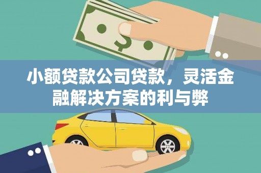 东阿小额贷款公司贷款，灵活金融解决方案的利与弊