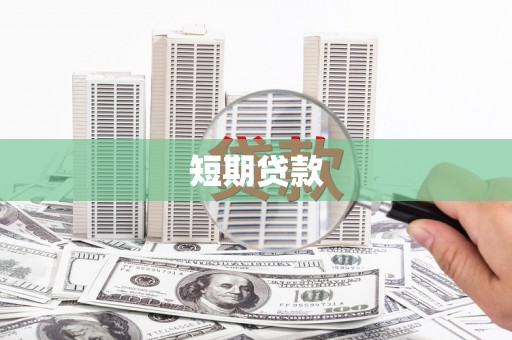 东阿短期贷款