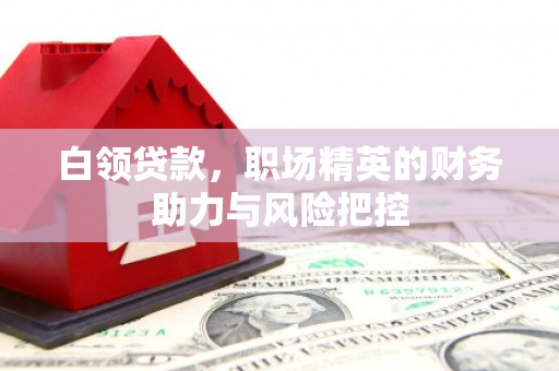 东阿白领贷款，职场精英的财务助力与风险把控