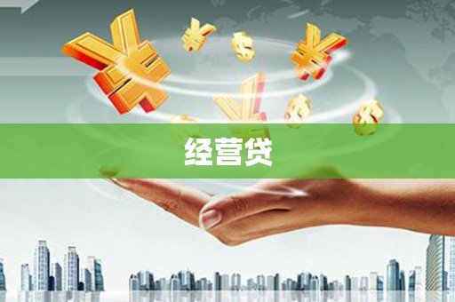 东阿经营贷