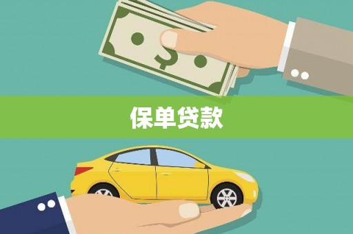 东阿保单贷款