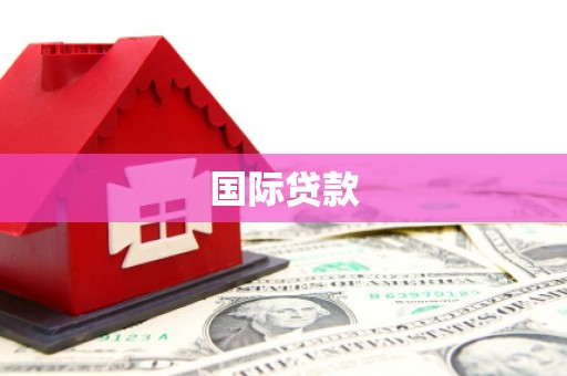 东阿国际贷款